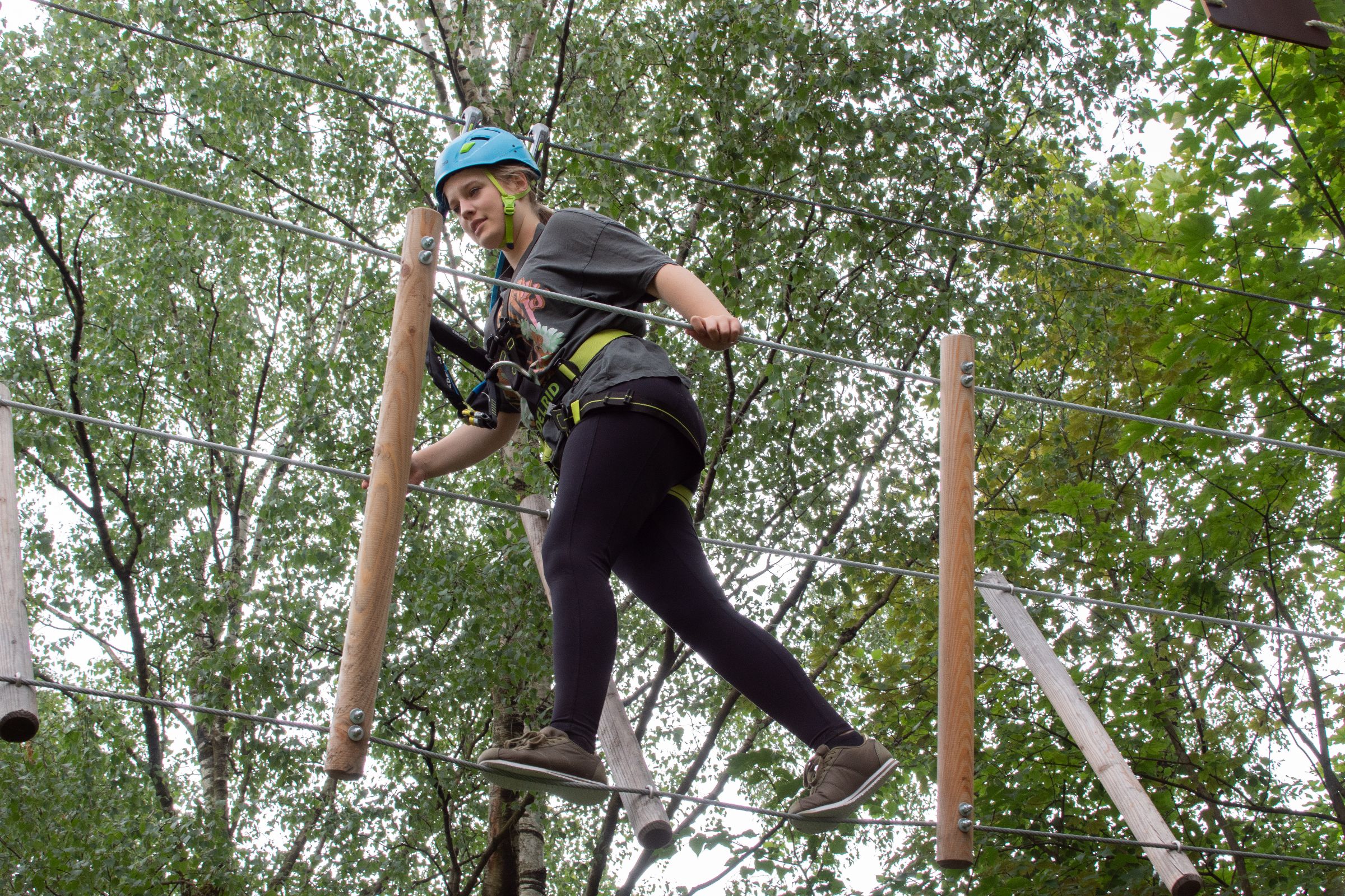 Zimmer Keller 31 138